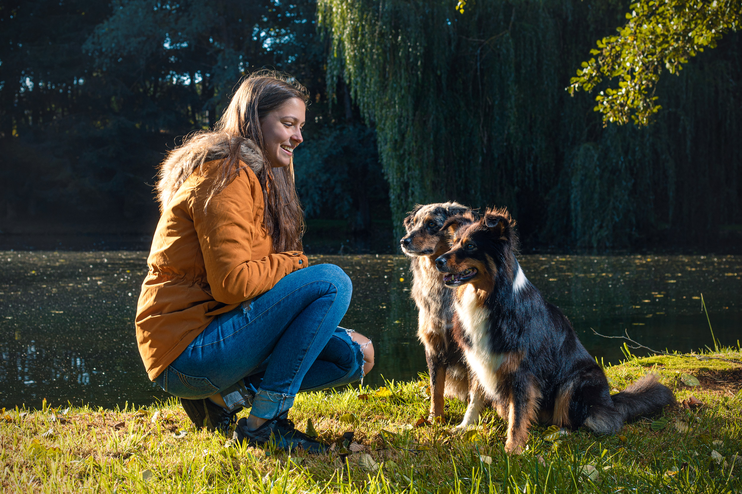 Hunde mit Frau in der Natur
